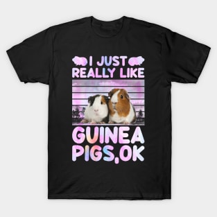 I Just Really Like Guinea Pigs Ok T-Shirt